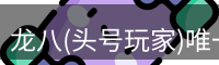 龙八(头号玩家)唯一官方网站